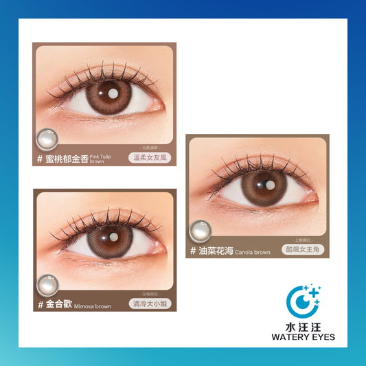 Clalen Iris 1-Day Overseas Exclusive close-up eyes in three shades: Pink Tulip Brown, Mimosa Brown, Canola Brown