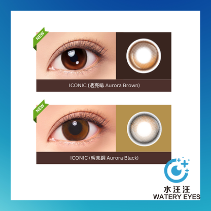 Bausch + Lomb 1-Day Lacelle NEW ICONIC (30片)